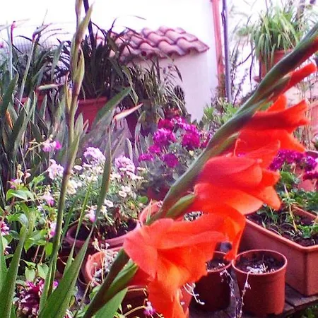 Bed & Breakfast La Perla Del Tirreno
