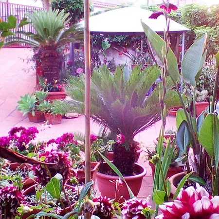 Bed & Breakfast La Perla Del Tirreno B&B